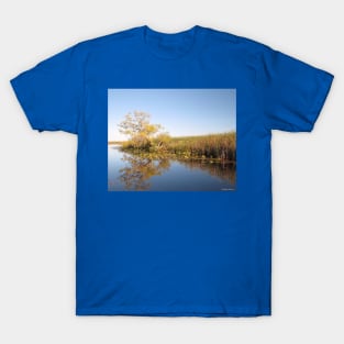 Marsh Reflection - Point Pelee National Park, Ontario, Canada T-Shirt